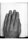 V11-p342_thumb.jpg